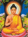 Phật Thích Ca là giáo chủ cõi Ta bà (đau khổ) – là thế giới mà chúng ta đang sống.