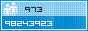 View counter statistics