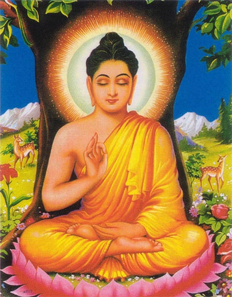 Phật Thích Ca và Phật A Di Đà khác nhau thế nào - Viện Nghiên cứu Truyền  thống và Phát triển